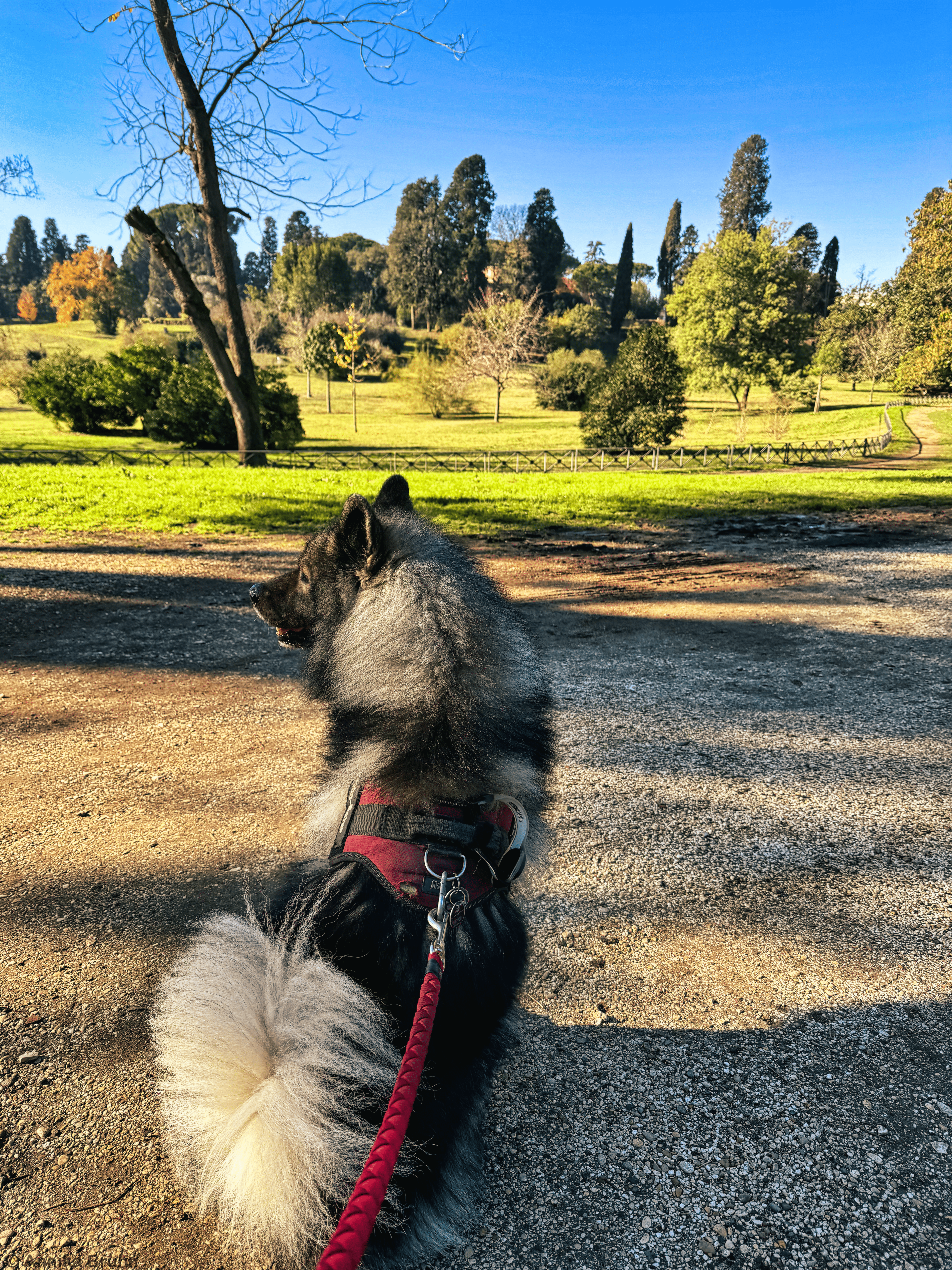 Q muss erst mal den neuen Park abchecken